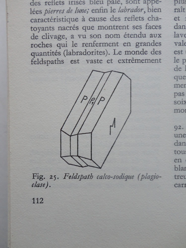 Fig. 8: Stefano Faoro and Joëlle Tuerlinckx